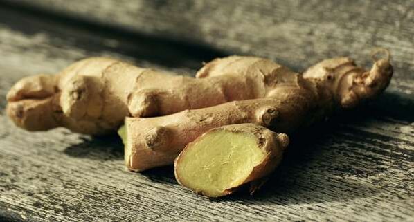 Root