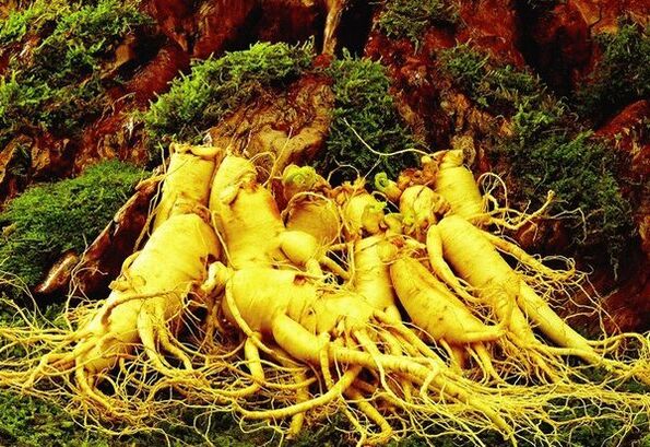 Natural remedies for potency