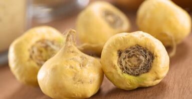 Maca root improves male potency