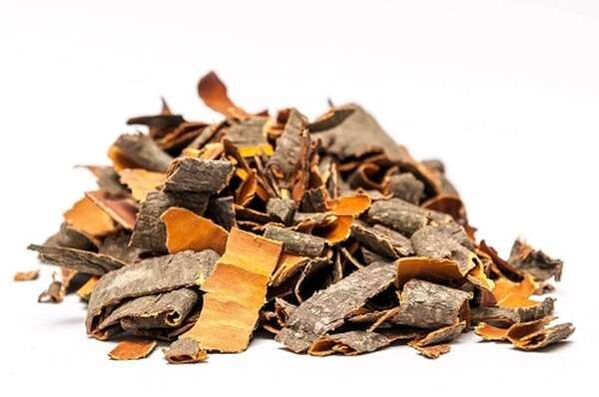 With the help of aspen bark, you can increase male potency