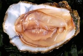 Oysters are a powerful stimulant of sexual desire